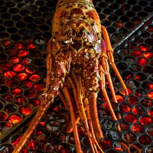 Fogo e Mar_28NOVZ23 - LAGOSTA BRASA - LLF-7272 (3)